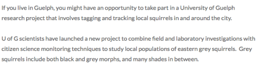 Screen Shot 2016-06-21 at 2.49.05 PM